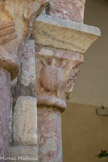 <center>Le cloître de Saint-Genis des Fontaines.</center>Tortue.