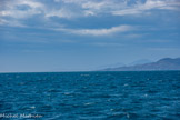 <center>« Navivoile » de Canet à Port-Vendres.</center>Le cap Béar et tout au fond, le cap Cerbère.