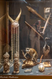 <center>Muséum d’Histoire Naturellei.</center>