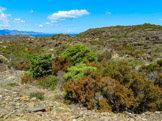 <center>Le cap de Creus.</center>