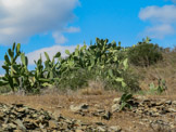 <center>Le cap de Creus.</center>