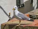 <center>Cadaqués.</center>