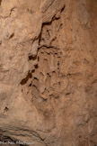 <center>Grotte aux Palmiers</center>Fossiles de fruits du palmier.