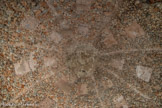 <center>Les jardins d'Albertas</center>La Grotte de fraîcheur (vers 1640) tapissée de concrétions calcaires et jadis de coquillages. La voûte.