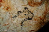 <center>Le Félin FEL001</center>Dessin au charbon représentant une tête de félin. La datation de cette figure remonte a 23 000 cal BP.
