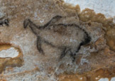 <center>Pingouin 001</center>Dessin au charbon, sur de la calcite se desquamant, représentant un pingouin mâle.