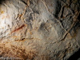 <center>Frise des petits animaux gravés</center>Frise dite des Petits Animaux Gravés du Grand Puits. Ces représentations sont gravées dans un style différent des représentations de la grotte. Elles sont antérieures aux mains négatives noires (datées de 31 500 ans cal. BP).