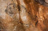 <center>Faille des Bisons, Bison 001</center>Dessin au trait à base de charbon représentant un Bison (BIS001). Une datation de la tête du bison fourni une date de 20 000 ans cal BP, ce qui est l'une des datations les plus récente dans la grotte Cosquer.