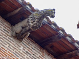 <center>Gaillac</center>Hôtel Peyre de Brens. Un lion.