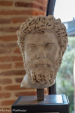 <center>Musée Saint-Raymond</center>IIIe siècle : les Sévères et l'anarchie militaire. 
Portrait de Septime Sévère (145 – 211)
Empereur de 193 à 211 Marbre de Goktepe (Turquie)
Type dit « de l'avènement »
Entre 193 et 195. <br> Sénateur d'origine africaine, né à Leptis Magna (en Tripolitaine, actuel Libye), Septime Sévère devient gouverneur de la Province de Pannonie supérieure au cœur de l'Europe. Suite à l'assassinat de l'empereur Commode, puis celui de Partynax, il est fait empereur par les légions du Danube. Il s'appuie sur ses armées et entreprend une marche sur Rome afin d'être légitimé et éliminer ses principaux rivaux. Cette tête de grande qualité, conçue dans un atelier officiel de Rome, date de cette succession au pouvoir, en 193. Septime Sévère avait alors 38 ans. Coiffure et barbe courte, trois mèches rondes sur le front, regard dirigé vers le haut et rotation de la tête vers la droite sont très proches de la tête des musées du Capitole, à Rome. Ce portrait de Chiragan semble provenir du même atelier que celui du musée de l'Ermitage, à Saint-Pétersbourg. Il rappelle par son style les derniers portraits de commode mais ressemble également à ceux d'Antonin le Pieux. Septime Sévère cherche, en effet, à justifier par l'image une filiation totalement artificielle avec la précédente dynastie des Antonins