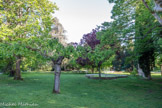 <center>Jardin des Plantes </center>