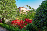 <center>Jardin des Plantes </center>Le Muséum d'histoire naturelle