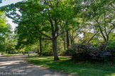 <center>Jardin Royal.</center>