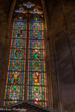 <center>Cathédrale Saint-Étienne </center>Chapelle Saint Vincent de Paul.