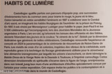 <center>Musée des Abattoirs</center>