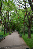 <center>Le jardin Compans-Caffarelli</center>