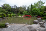 <center>Le jardin japonais</center>Le lac, point central, par sa surface plane, met en valeur l’ondulation des collines et des berges et donne de l’ampleur au jardin. Dans le jardin japonais, la dimension et les contours de la nappe d’eau indiquent l’échelle et la forme de l’ensemble du jardin. Selon les règles éta¬blies dans le Sakutei-ki, l’eau arrive par le nord-est, contourne le pavillon de thé au sud et sort vers le sud-ouest. Le lac est peuplé de poissons, souvent des carpes koï, et de tortues.
