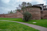 <center>Le jardin Raymond-VI </center>Le rempart médiéval de Saint-Cyprien s’étend le long du jardin Raymond VI. À l’époque de François 1er, la fortification renforce et remplace les murs protégeant la rive gauche, face à la menace anglaise.
Au début du XVIe siècle, on améliore l’édifice. Cette fois, l’ennemi c’est l’Espagne de Ferdinand II d’Aragon. On construit ainsi dix tours à l’ouest de Toulouse. La colossale tour Taillefer, destinée à l’artillerie, voit le jour en bordure de Garonne. Elle s’élève 35m au-dessus du fleuve. Mais au XVIIIe siècle, les remparts sont progressivement détruits. On les remplace par une allée arborée. Taillefer devient quant à elle la « tour des pestiférés » : elle sert à l’hôpital de La Grave pour isoler les malades.
