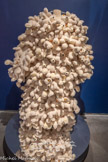 <center>Musée des Abattoirs</center>Manteau de cour pour reine de coeur. Manteau 
