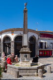 <center>Vias</center>Place du 14 juillet. La fontaine, ou « la Pile » pour les Viassois, existe probablement à cet emplacement depuis le Moyen Âge. Elle a été restaurée par le Maire légitimiste (De) Rascas de Palignan pour commémorer la naissance de l'héritier au trône, le Duc de Bordeaux. Elle était alimentée par un aqueduc fait de conduit en terre cuite, amenant les eaux depuis le tènement de la Gardie jusqu'à la place du village, puis, à dater de 1837, de tuyaux en fonte, elle fournissait une eau pure filtrée aux tufs volcaniques du sud de la Gardie. Le terme provençal Pile a été préféré à l'Occitan Griffol pour désigner la fontaine. Plus qu'un approvisionnement vertical en eau, la Pile a une aura de sanctuaire pour les Viassois.
Elle est composée d'un obélisque quadrangulaire, portant 4 bouches d'eau anthropomorphes surmontées de tablettes écrites en Français, Grec et Latin qui vantent une royauté revenue au pouvoir. La Pile valorise ainsi, en style très Romantique, la pérennité d'un système de gouvernement Royaliste qu'on annonçait éternel et auquel on associait un élément de vie, tout aussi éternel : l'eau.
Le bassin octogonal s'animait journellement : les femmes venaient y remplir leurs cruches et y rincer leur bugado (lessive) ; les hommes accompagnaient leurs animaux assoiffés. On papotait gaiement, on plaisantait, y taillait des réputations, on s'informait.
 La fontaine a été à nouveau restaurée en 1871.  En 1908, 12 bornes-fontaines ont été installées dans la ville avec la possibilité pour les particuliers de se raccorder au réseau municipal. Vingt foyers seulement ont profité de cette opportunité !