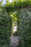 <center>Le jardin des senteurs à Arles.</center>