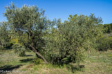 <center></center><center>La poudrerie de Saint-Chamas. </center>Colline sèche méditerranéenne.