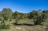 <center></center><center>La poudrerie de Saint-Chamas. </center>Colline sèche méditerranéenne. Au loin, Miramas-le-Vieux.