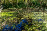 <center></center><center>La poudrerie de Saint-Chamas. </center>Un réservoir.