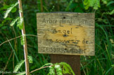 <center></center><center>La poudrerie de Saint-Chamas. </center>En bordure de cette allée des pancartes portent le nom de chaque enfant et celui du poudrier dont nous avons voulu perpétuer le souvenir.