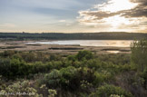 <center></center><center>Etang de Pourra. </center> Environné de collines recouvertes de garrigues et de pinèdes, ce vaste étang, peu profond, dont le plancher est situé à 6 m au-dessous du niveau de la mer, fait partie d'un ensemble de cinq étangs occupant des dépressions d'origine éolienne.