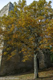 <center>Tour de Porchères.</center>L'origine du nom du village vient des « porchères » c'est-à-dire des enclos en pierres sèches servant à élever des porcs.