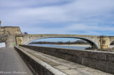 <center></center><center>Le pont.</center> Au XVIe siècle, l'arche orientale est détruite et remplacée par trois petites arches qui  permettaient au pont, jusqu'au XIXe, de descendre au niveau du bas de l'escalier. En 1856, une arche marinière est mise en place, car un bateau à vapeur qui emmenait des soldats à la guerre de Crimée n'avait pas pu passer, le Rhône étant en crue. Ensuite, on a installé une arche en fonte qui fut bombardée en 1944. Jusqu'en 1954, on avait un pont suspendu qui fut remplacé par cette arche en béton.