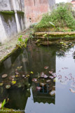 <center>Le jardin Fontana Rosa </center>Bassin le long de la bibliothèque.