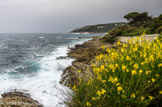 <center>St Jean Cap Ferrat</center>