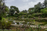 <center>Jardin botanique Les Cèdres</center>