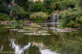 <center>Jardin botanique Les Cèdres</center>