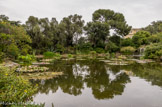 <center>Jardin botanique Les Cèdres</center>