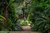 <center>Jardin botanique Les Cèdres</center>Moïse.