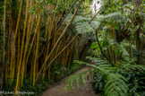 <center>Jardin botanique Les Cèdres</center>