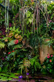 <center>Jardin botanique Les Cèdres</center>