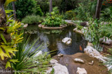 <center>Jardin botanique Les Cèdres</center>