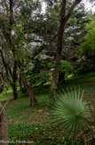 <center>Jardin botanique Les Cèdres</center>