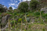 <center>Sainte-Agnès</center>Le jardin médiéval.