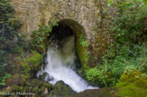 <center>Moulin de la Foux</center>