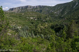 <center>Moulin de la Foux</center>Sur le chemin.