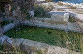 <center>Tholon</center>La fontaine de l'Arc. Plus au nord, subsistent les vestiges d'une seconde source aménagée de manière plus modeste, la fontaine de l'Arc. Installée en bordure même de l'étang, elle se compose également de deux réservoirs voûtés dans lesquels plusieurs ouvertures permettaient le puisage de l'eau.