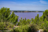 <center>Etang de Lavalduc.</center>Etang de Lavalduc en août.