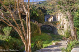 <center>Saint Guilhem le Désert. </center> Développé sur la rive gauche du ruisseau Verdus, le village est un village rue.