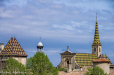 <center>La Chartreuse de Valbonne</center>Un monastère de l'ordre des chartreux (une chartreuse) est un ensemble monumental vraiment singulier dans l'histoire de l'architecture religieuse car il est composé de deux parties principales qui résument bien ce type de vie à la fois érémitique et cénobitique. La première est quasiment identique aux monastères des autres familles religieuses : il s'agit des bâtiments dans lesquels les chartreux peuvent se retrouver en communauté (chapelle, réfectoire, salle capitulaire, cuisines, cellier, bibliothèque). Ces bâtiments s'organisent autour du petit cloître.
La seconde partie d'une chartreuse, la plus originale, est absolument propre à cet ordre et ne se trouve dans aucun autre : il s'agit du grand cloître autour duquel se répartissent les cellules. C'est la zone du silence et de la solitude par excellence. Chaque chartreux vit, pour l'essentiel de son temps, en cellule. Cette dernière est en fait une maison comportant généralement un rez-de-chaussée où se trouvent un atelier, une réserve de bois et un jardinet ; puis un étage composé de deux pièces : l’Ave Maria (chaque fois que le chartreux la traverse il doit s'agenouiller devant une statuette de la Vierge et réciter un Ave Maria) et le cubiculum. Ce dernier est à la fois la chambre à coucher, le lieu de travail intellectuel, l'oratoire privé, le lieu où le chartreux prend son repas du soir (la collation) et les autres repas durant les deux grands temps de pénitence de l'année liturgique (l'Avent et le Carême).