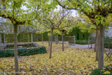 <center>Les Chartreuses des Montreuils. </center> S'étendant sur 5000 m2 et blottis dans les hauts murs des chartreuses, cinq jardins évoquent l'évolution de l'art des jardins en France. Le jardin de méditation.